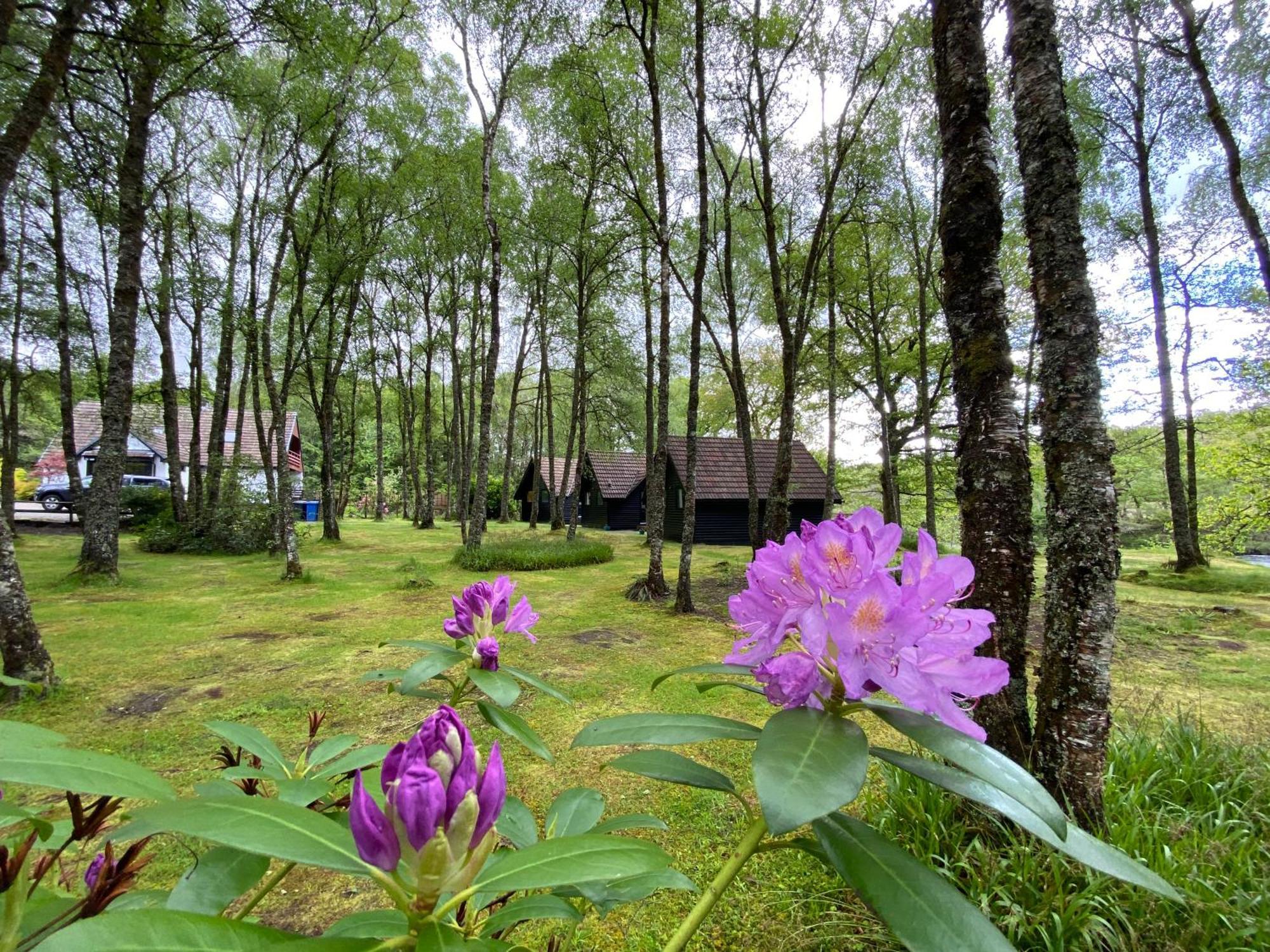 Lodge Burnbank Spean Bridge